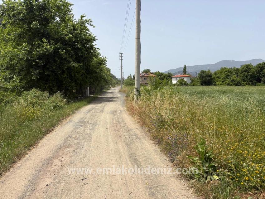 Land Zu verkaufen in Okçular Bz. Ortaca - Gehäuse-Zonierung - 2.390 m²