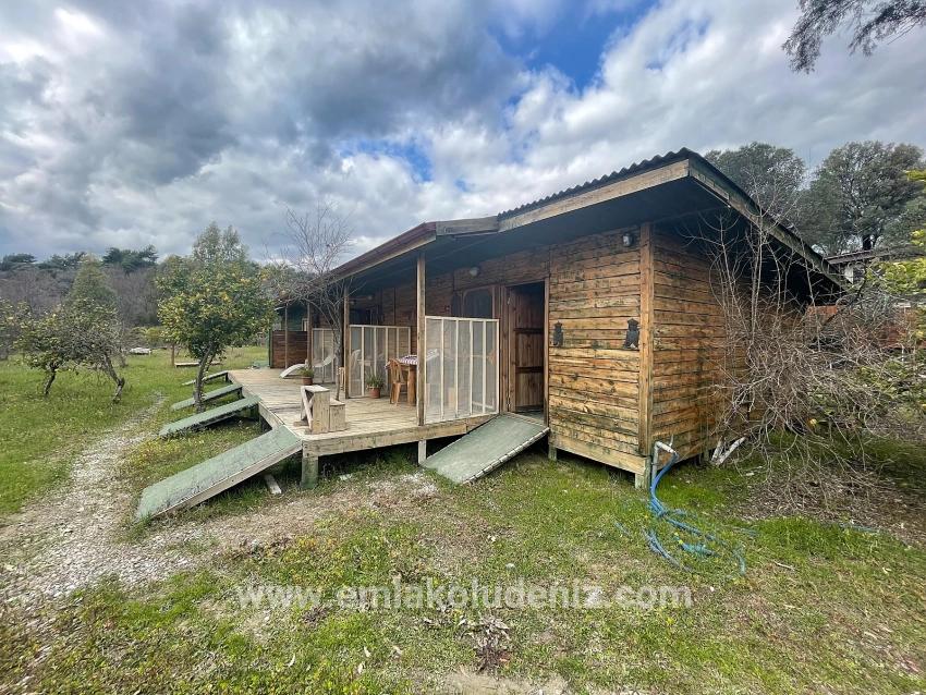 Boutique-hotel Und Bungalows Auf Einem 11.000 M² Großen Grundstück In Dalyan Zu Verkaufen