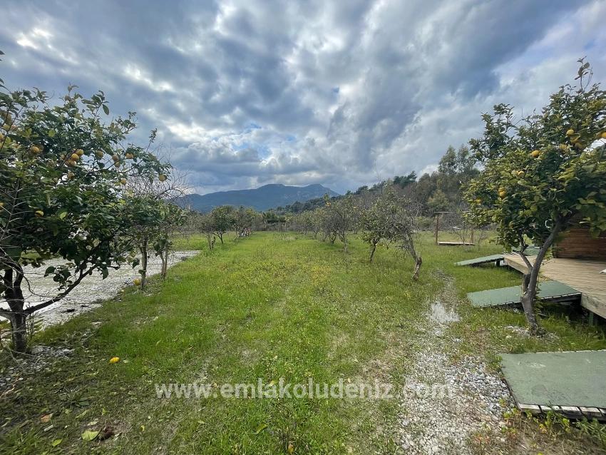 Boutique-hotel Und Bungalows Auf Einem 11.000 M² Großen Grundstück In Dalyan Zu Verkaufen