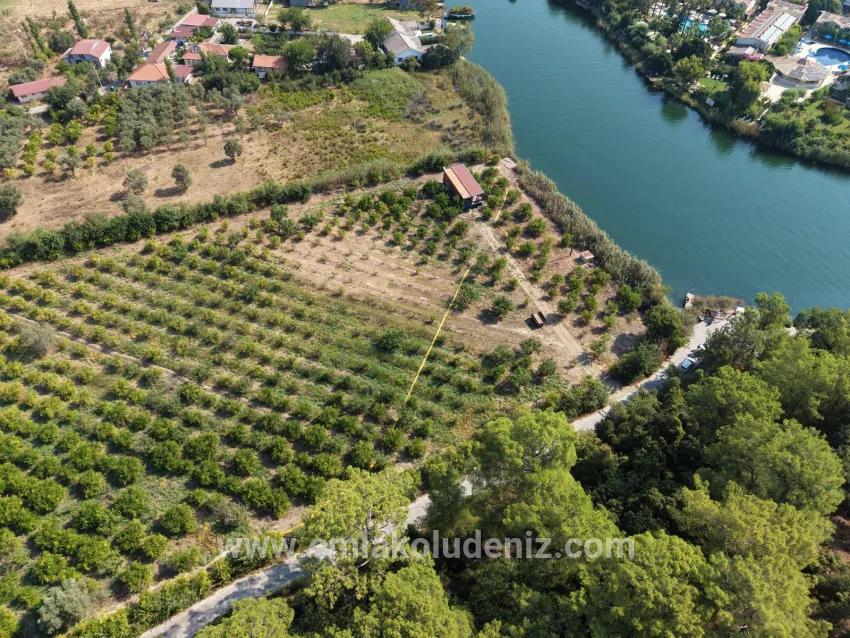 Im Köyceğiz Çandır Mahallesinde kanala sıfır 20.000m2 satılık Feld