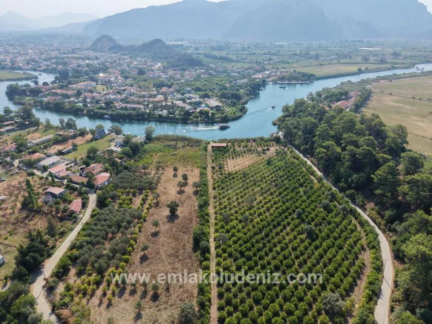 Im Köyceğiz Çandır Mahallesinde kanala sıfır 20.000m2 satılık Feld