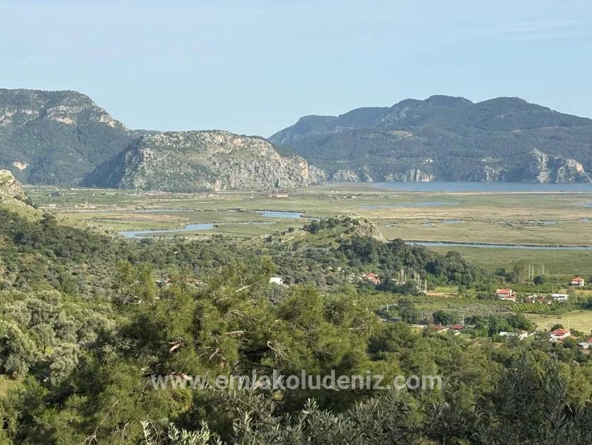Feld Zu verkaufen in Çandır Bz. Köyceğiz - Feld-Zonierung - 1.252 m²