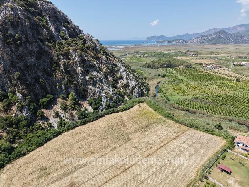 Feld Zu verkaufen in Dalyan Bz. Ortaca - Feld-Zonierung - 20.786 m²