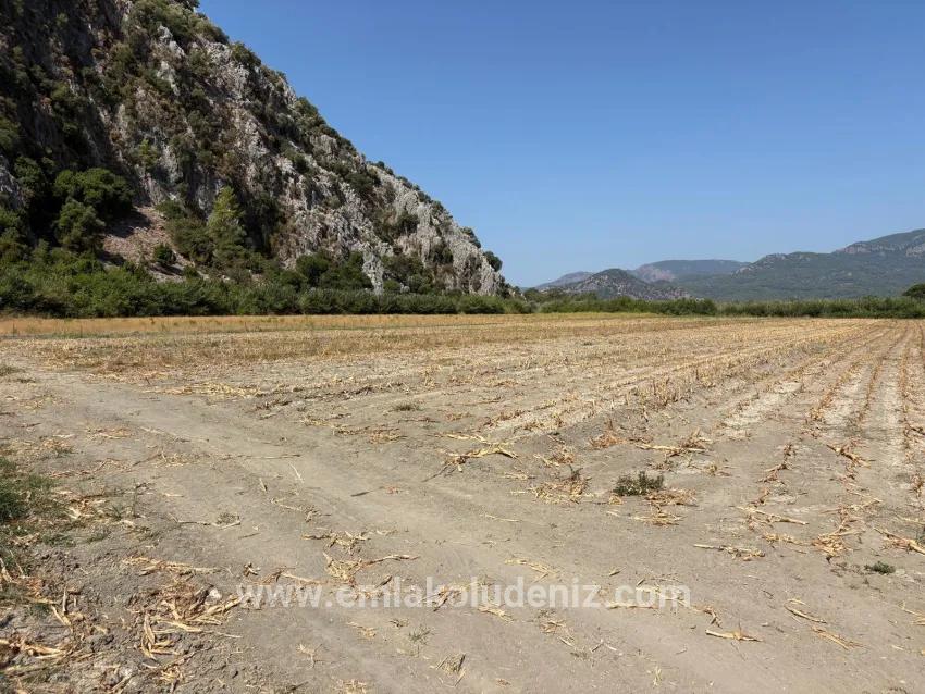 Feld Zu verkaufen in Dalyan Bz. Ortaca - Feld-Zonierung - 20.786 m²