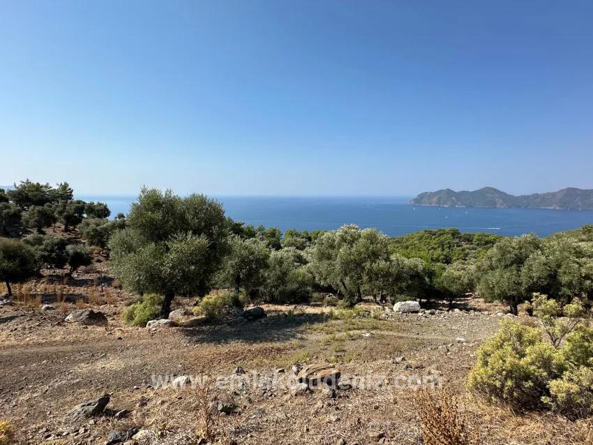 Feld Zu verkaufen in Çandır Bz. Köyceğiz - Feld-Zonierung - 21.000 m²