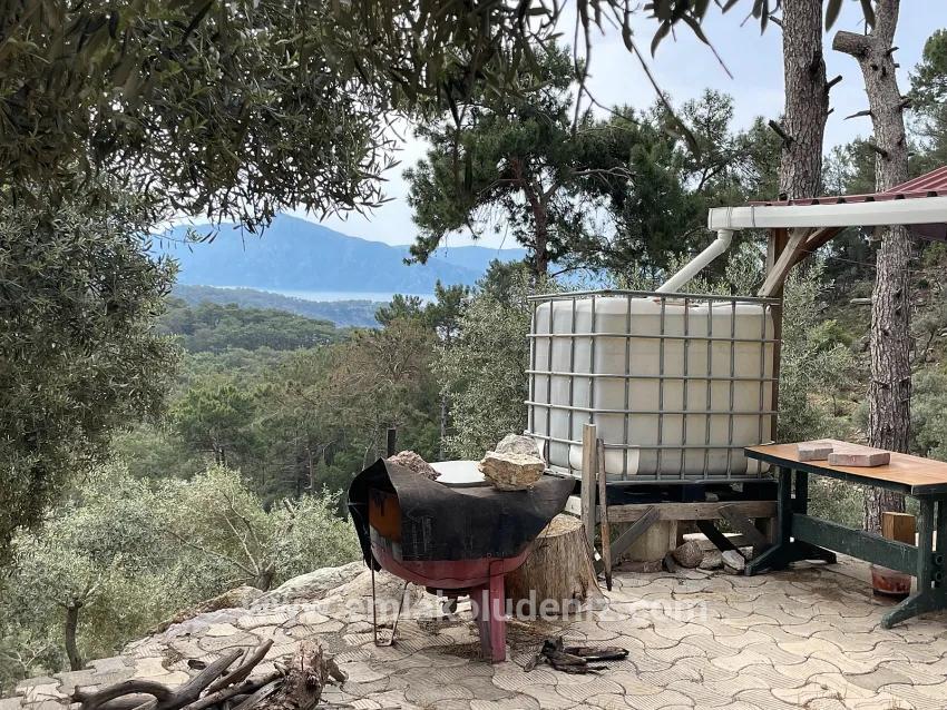 Feld Zu verkaufen in Ekincik Bz. Köyceğiz - Olive-Zonierung - 7.000 m²