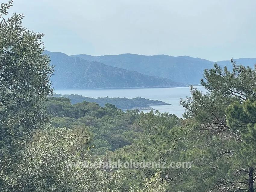 Feld Zu verkaufen in Ekincik Bz. Köyceğiz - Olive-Zonierung - 7.000 m²