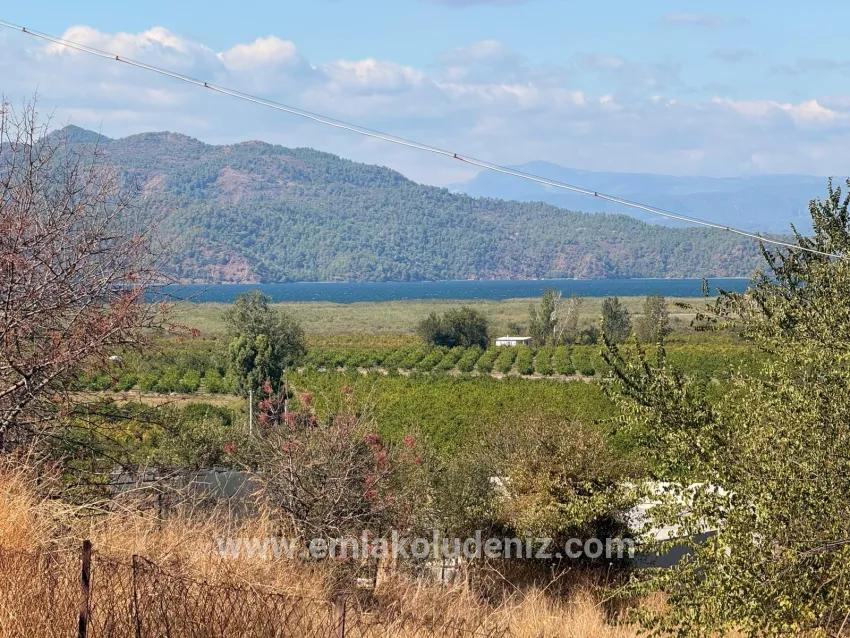 Feld Zu verkaufen in Dalyan Bz. Ortaca - Feld-Zonierung - 5.000 m²