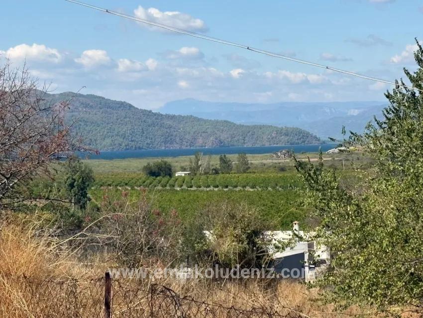Feld Zu verkaufen in Dalyan Bz. Ortaca - Feld-Zonierung - 5.000 m²