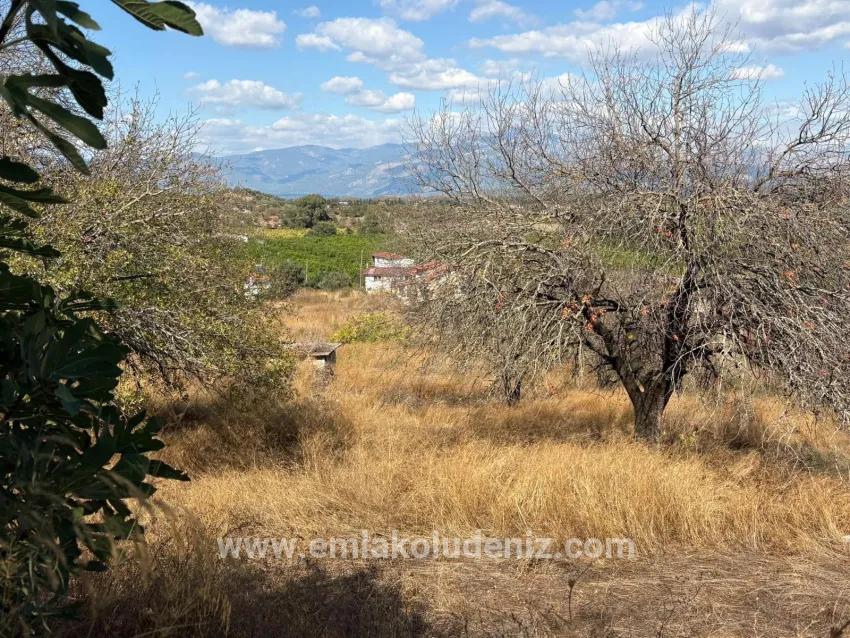 Feld Zu verkaufen in Dalyan Bz. Ortaca - Feld-Zonierung - 5.000 m²
