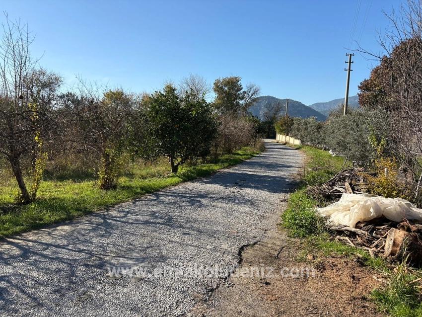 Feld Zu verkaufen in Dalyan Bz. Ortaca - Feld-Zonierung - 4.541 m²