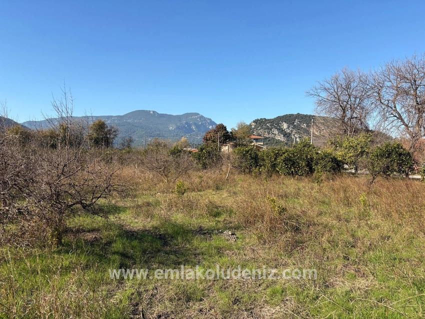 4.541 M² Großer Garten Zum Verkauf In Dalyan.