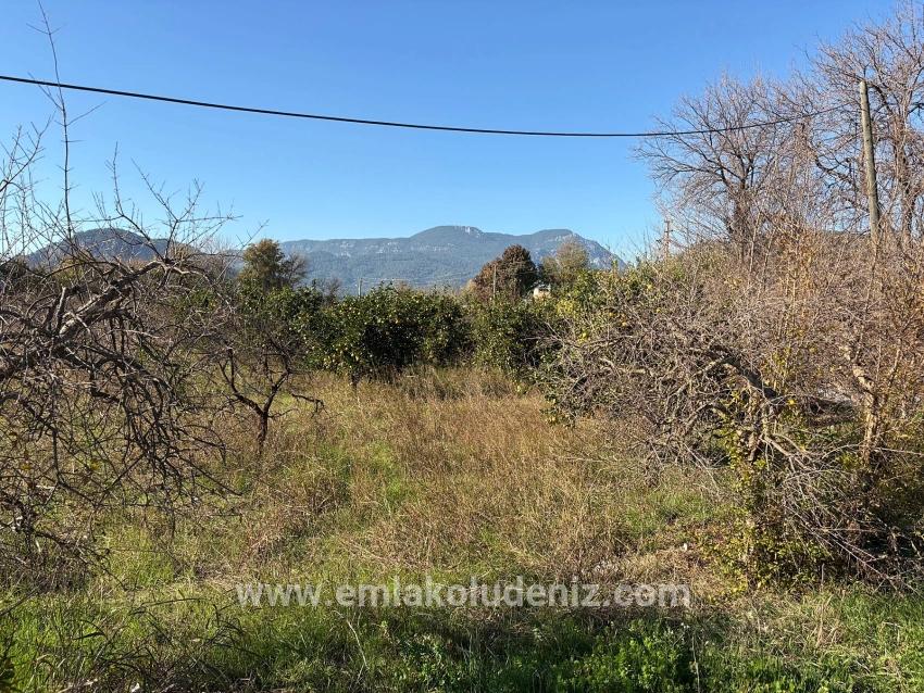 4.541 M² Großer Garten Zum Verkauf In Dalyan.