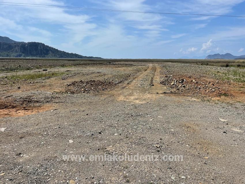 19.600 M² Großes Grundstück Zum Verkauf, Direkt An Der Straße Dalyan Iztuzu Beach Gelegen.