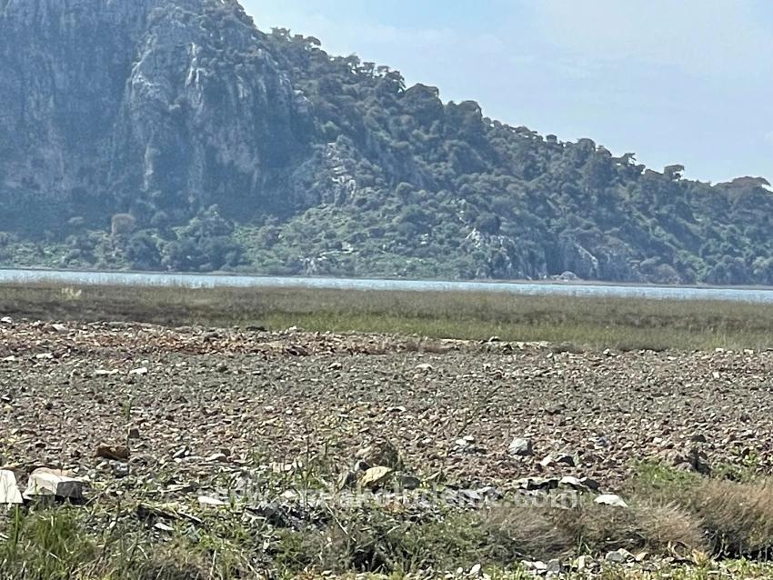 19.600 M² Großes Grundstück Zum Verkauf, Direkt An Der Straße Dalyan Iztuzu Beach Gelegen.
