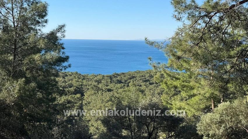 2b-feld Von 5715 M2 Zum Verkauf Mit Vollem Meerblick In Çandır