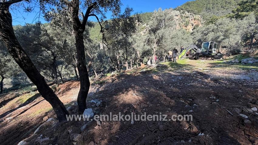 Feld Zu verkaufen in Çandır Bz. Köyceğiz - Gehäuse-Zonierung - 5.715 m²