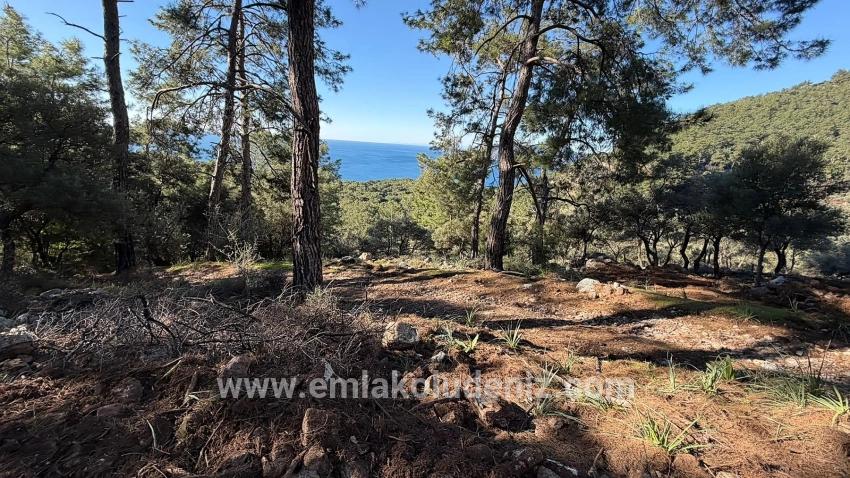 2b-feld Von 5715 M2 Zum Verkauf Mit Vollem Meerblick In Çandır