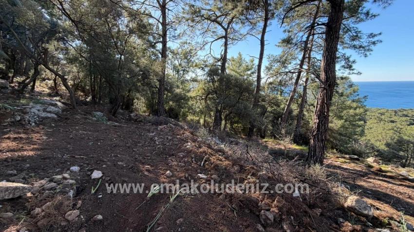 2b-feld Von 5715 M2 Zum Verkauf Mit Vollem Meerblick In Çandır