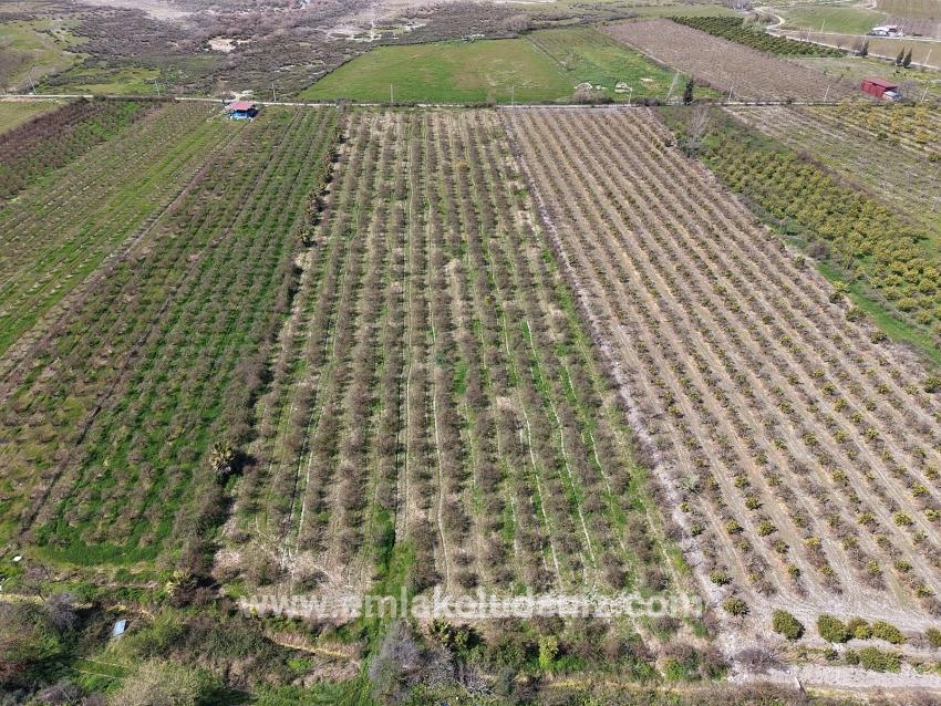 16.710 M² Granatapfelgarten Zum Verkauf Mit Seeblick In Eskiköy