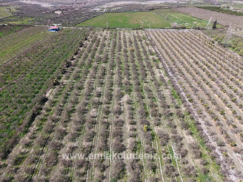 16.710 M² Granatapfelgarten Zum Verkauf Mit Seeblick In Eskiköy