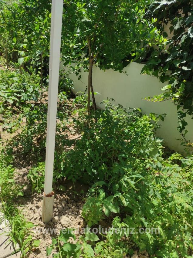 4+1 Villa Zum Verkauf Auf Einem Eckgrundstück Von 545 M2 In Dalyan Gülpınar