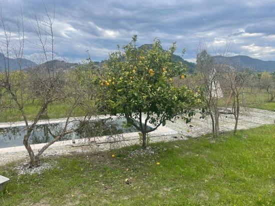 Boutique-hotel Und Bungalows Auf Einem 11.000 M² Großen Grundstück In Dalyan Zu Verkaufen