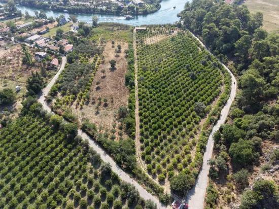 Im Köyceğiz Çandır Mahallesinde kanala sıfır 20.000m2 satılık Feld