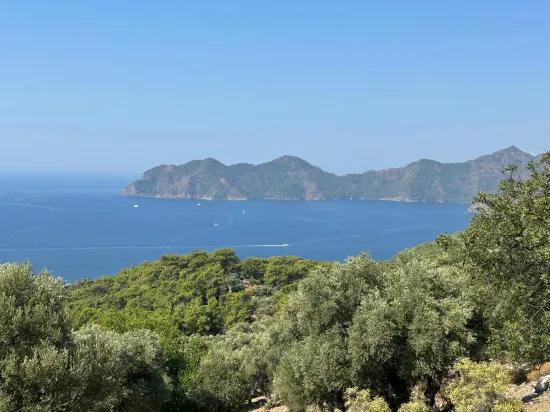 In Çandır mit Meerblick 21.000 m2 zu verkaufen 2b Feld
