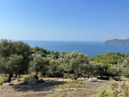 In Çandır mit Meerblick 21.000 m2 zu verkaufen 2b Feld