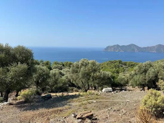 In Çandır mit Meerblick 21.000 m2 zu verkaufen 2b Feld
