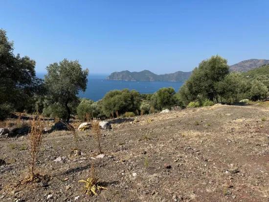 In Çandır mit Meerblick 21.000 m2 zu verkaufen 2b Feld