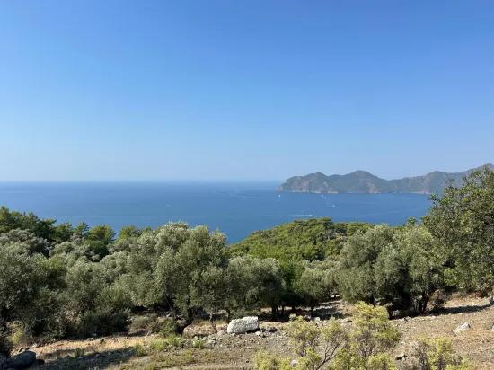 In Çandır mit Meerblick 21.000 m2 zu verkaufen 2b Feld