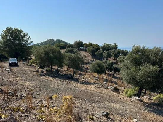 In Çandır mit Meerblick 21.000 m2 zu verkaufen 2b Feld