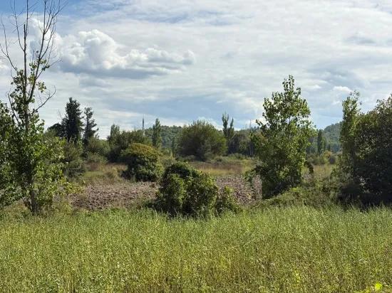 10.500 m2 zum Verkauf Feld In Köyceğiz Zeytinalanı