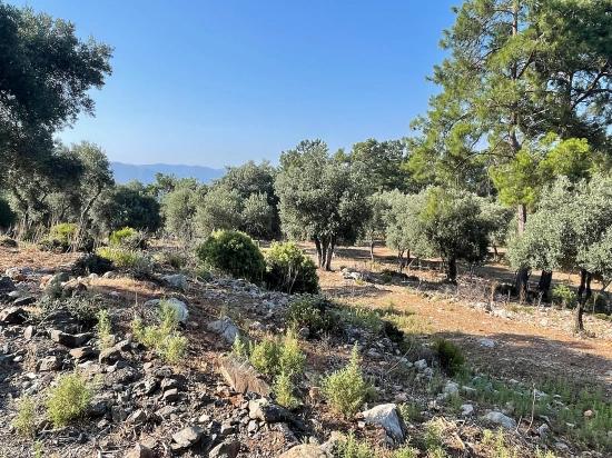 Schnäppchengrundstück Zum Verkauf Mit Meerblick In Der Gegend Von Ekincik-çandır.