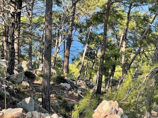 Schnäppchengrundstück Zum Verkauf Mit Meerblick In Der Gegend Von Ekincik-çandır.