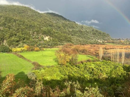 35.000 M² Ackerland Zum Verkauf In Çandır, Köyceğiz.
