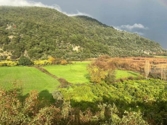 35.000 M² Ackerland Zum Verkauf In Çandır, Köyceğiz.