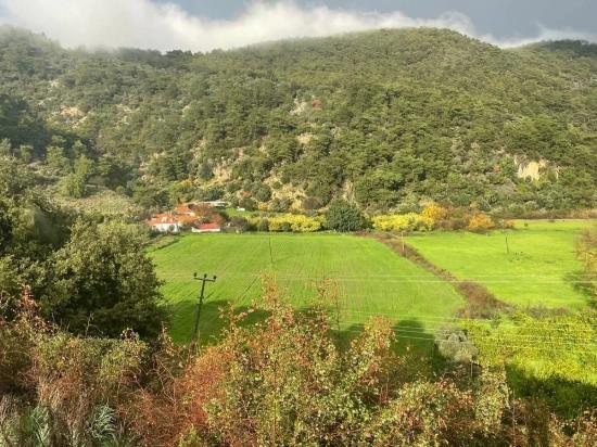 35.000 M² Ackerland Zum Verkauf In Çandır, Köyceğiz.