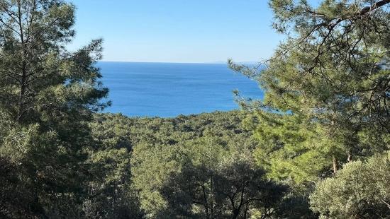 2b-feld Von 5715 M2 Zum Verkauf Mit Vollem Meerblick In Çandır