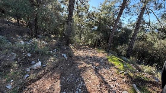 2b-feld Von 5715 M2 Zum Verkauf Mit Vollem Meerblick In Çandır