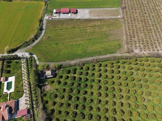 17.550 M2 Weinberg-bahce Zum Verkauf In Der Nähe Des Dalyan Centers