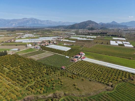 17.550 M2 Weinberg-bahce Zum Verkauf In Der Nähe Des Dalyan Centers