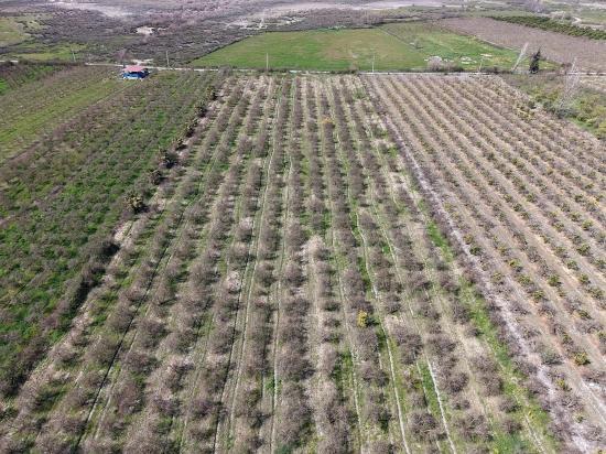 16.710 M² Granatapfelgarten Zum Verkauf Mit Seeblick In Eskiköy