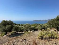 Feld Zu verkaufen in Çandır Bz. Köyceğiz - Feld-Zonierung - 21.000 m²