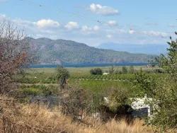 Feld Zu verkaufen in Dalyan Bz. Ortaca - Feld-Zonierung - 5.000 m²