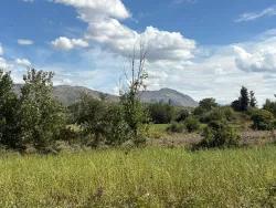 Feld Zu verkaufen in Zeytinalanı Bz. Köyceğiz - Feld-Zonierung - 10.500 m²