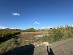 Land Zu verkaufen in Yeşilyurt Bz. Ortaca - Gehäuse-Zonierung - 3.999 m²
