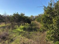 Feld Zu verkaufen in Dalyan Bz. Ortaca - Feld-Zonierung - 4.541 m²